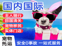 丹霞空运国际宠物托运 【国